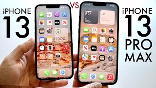 iPhone 13 Vs iPhone 13 Pro Max In 2023 Comparison Review [upl. by Ihsorih]