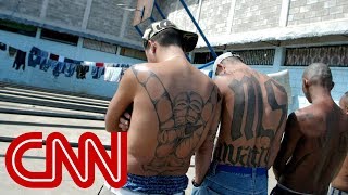 MS13 gang members Trump makes us stronger [upl. by Kingston691]