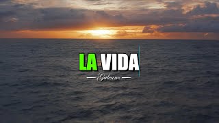 La Vida ¿Que Es La Vida ¦ Gratitud Frases Reflexiones Agradecimiento Reflexión [upl. by Childs693]