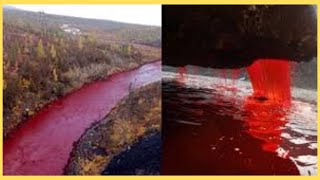 Rivers Turning Red All Over The World😳 [upl. by Rosy]