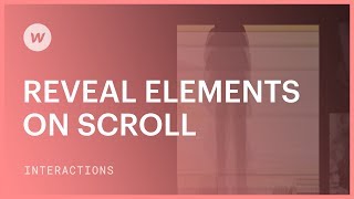 Reveal elements on scroll — Webflow interactions and animations tutorial [upl. by Gulick]