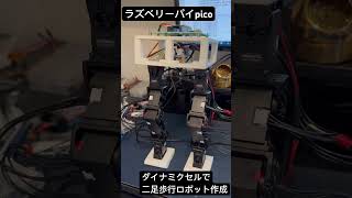 Dynamixel XL330で二足歩行ロボット作成 重心移動と屈伸動作 ラズベリーパイpico× Python [upl. by Coleman]