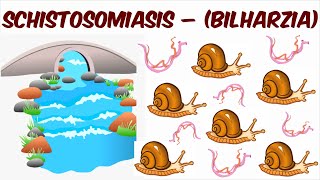 Schistosomiasis – Bilharzia [upl. by Udele265]