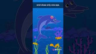 Dolphins are always conscious while sleeping  Interesting Facts  Embibe [upl. by Llenreb]