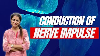 How Nerve Impulses Travel Through Neurons  Conduction of Nerve Impulse Explained [upl. by Warfield67]