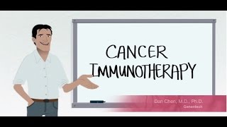 How Does Immunotherapy Work – Bladder Cancer Immunotherapy Animation [upl. by Klina]