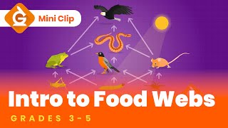 Food Webs amp Food Chains for Kids  Fun Lesson for Grades 35  Science [upl. by Heilman901]