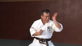 Shisochin  Kata Karate GojuRyu [upl. by Onairot772]