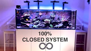 100 Closed Reef System  No water changes in 3 years [upl. by Auahsoj]