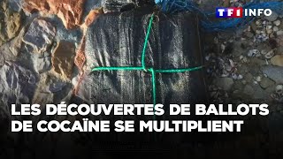 Drogue  les découvertes de ballots de cocaïne se multiplient [upl. by Ymot300]