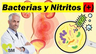 🦠 Bacterias y Nitritos Positivos en Orina Lo Que Necesitas Saber  SegundoMédico 🩺 [upl. by Olenolin]