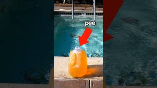 How much pee is in a pool [upl. by Maddock]