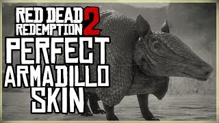 HOW TO GET A PERFECT ARMADILLO SKIN  RED DEAD REDEMPTION 2  3 STAR PRISTINE ARMADILLO HUNT [upl. by Daughtry695]