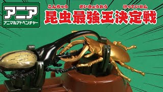 【公式】アニア おはなし『王者は誰だ！昆虫最強王決定戦！』【タカラトミーキッズ】おもちゃ  アニア  昆虫バトルステージ  カブトムシ  クワガタ [upl. by Oigaib]