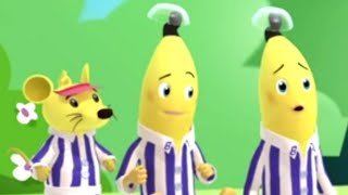 Rat the Banana  Animated Episode  Bananas in Pyjamas Official [upl. by Kroy453]