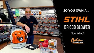 So You Own A Stihl BR 600 Blower [upl. by Januisz]