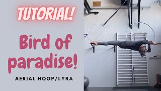 How to do a bird of paradise on aerial hoop Lyra [upl. by Ecaidnac]