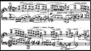 Alban Berg  Piano Sonata Op 1 [upl. by Whitehouse]