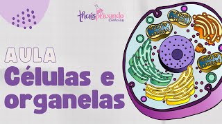 Entendendo tudo sobre as CÉLULAS e as organelas  6º ano [upl. by Mitzl]