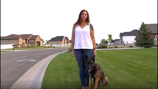 How to Set Up the PetSafe® Stay amp Play® Compact Wireless Fence [upl. by Hamner]