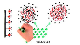 Introduction to Hydrophobic Interaction Chromatography [upl. by Raines]