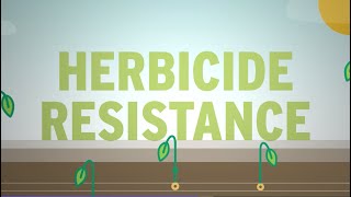 What is Herbicide Resistance [upl. by Sordnaxela267]