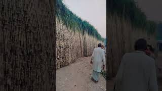 Shugar can amazingsoudiarabia duet dancechoreography pakistan [upl. by Eignav205]