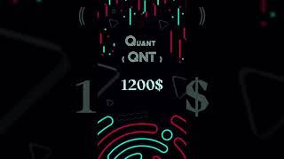 Quant  QNT  price prediction for 2025 [upl. by Lockhart706]