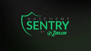 Basement Sentry Battery BackUp Pump Systems [upl. by Kcirred]