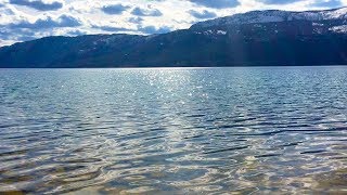 Peaceful Lake Sounds in Nature  Relax Meditate Focus  10 Hours Water Sounds White Noise [upl. by Duarte704]