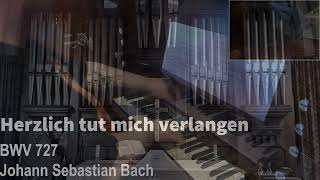 Herzlich tut mich verlangen  BWV 727  Johann Sebastian Bach [upl. by Assiren]