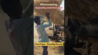 Winnowing  Process of Separating Grain from husk Chaff agriculture threshing vigyan planmystudy [upl. by Notkcorb]