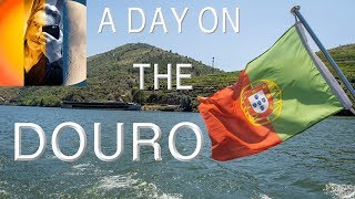 A Cruise On The Douro River Portugal Pinhão DOC Restaurant amp Wine Tasting [upl. by Enael]