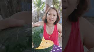 🇵🇭🇧🇪MUKBANG MELON GOLD ANG TAMIS  15KILO ONLY fruit mukbang shorts vlog youtubeshorts video [upl. by Fast]