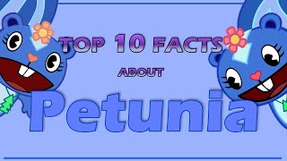 Top 10 Facts About PETUNIA From Happy Tree Friends Character review [upl. by Sydelle]