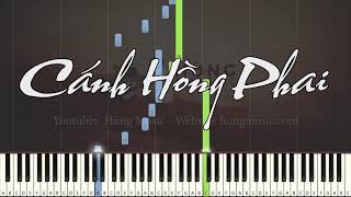 Cánh Hồng Phai Piano  Hùng Music [upl. by Isadora]