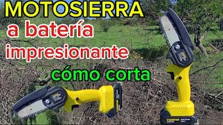 MOTOSIERRA A BATERIA IMPRESIONANTE COMO CORTA [upl. by Eglanteen]