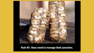 Nosema amp Varroa Mites Randy Oliver NY Bee Wellness [upl. by Forbes880]