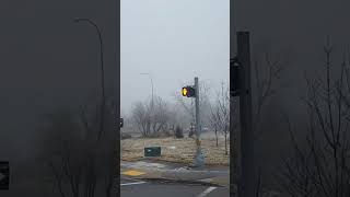 Passenger POV of MAX Yellow BRT Arriving at Rockyview Hospital Station bus calgarytransit brt [upl. by Enileme]