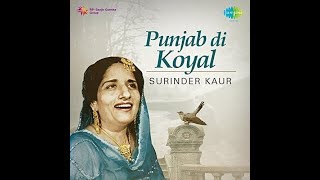 Surinder Kaur Evergreen Songs Remix [upl. by Moretta564]