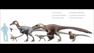 Dromaeosauridae Raptor Sound Effects [upl. by Itteb]