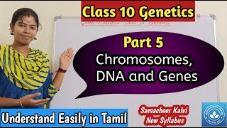 Chromosomes DNA and Genes Class 10 Science Unit 18 Genetics [upl. by Acinomahs]