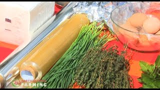 38 Growing Herbs in Containers amp Pots  Morningsun Herb Farms 8video series quotALL ABOUT HERBSquot [upl. by Garceau]