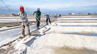 India’s Cheapest Technique to Produce Massive Tons of Salt Every Year [upl. by Dahij]