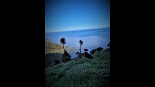 Hunting Aorangi ranges nz [upl. by Irmgard]