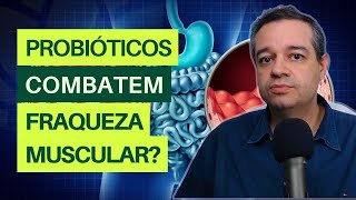 COMO OS PROBIÓTICOS PODEM PREVENIR A FRAQUEZA MUSCULAR  Dr Flávio Jambo [upl. by Vivia532]