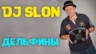 Dj Slon  Дельфины все дельфины в ураган  Аудио [upl. by Roddie829]