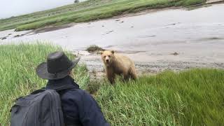 Grizzly Bear Charge in Remote Alaska [upl. by Eeralih]