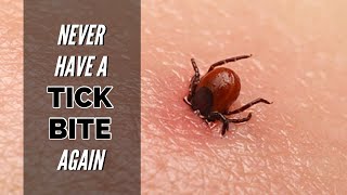 KILL Ticks and Prevent Lyme Disease [upl. by Ertnom976]