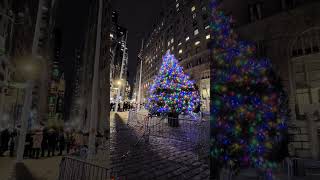 Christmas in New York City • Lower Manhattan Christmas tree • December 16 2021 [upl. by Ecnahoy]